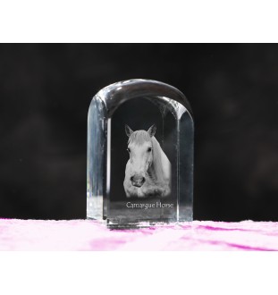 Camargue Horse - crystal cube with a photo, photo of a horse in crystal, cubic paperweight from Art-Dog brand