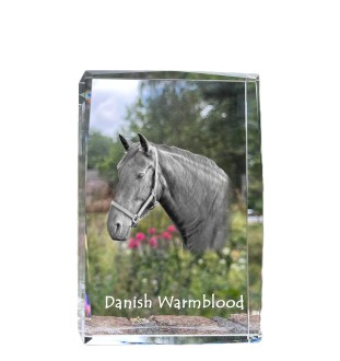 Danish Warmblood - crystal with a picture of a horse, photo in glass, modern exhibition of Art-Dog brand photo