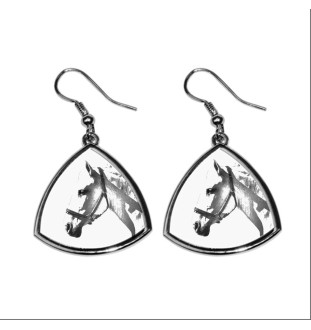 Normand espagnol - boucles d'oreilles avec un cheval, boucles d'oreilles pendantes avec une image, bijoux personnalisés avec l'impression de la marque Art-Dog