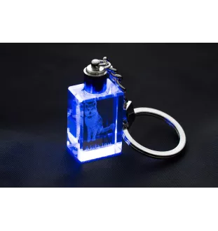 Akita, Akita Inu - Crystal key ring with dog photo, illuminated key ring, unique gift by Art-Dog brand