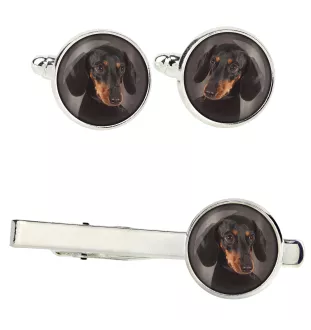 Dachshund Smooth-haired, Wiener dog, Badger dog - cufflinks and tie with your photo, a suit decoration, men's jewelry from the Art-Dog brand.