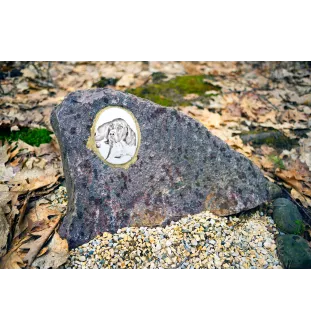 English Pointer I - commemorative plaque with a photo of a dog, tombstone with a print, personalized oval plaque from the Art-Dog brand