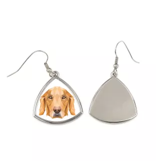 Golden Retriever - boucles d'oreilles avec une photo et un motif de chien géométrique Art-Dog