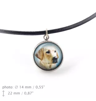 Labrador Retriever, retriever du Labrador I - ensemble de bijoux avec votre photo, ensemble fait à la main, bracelet et collier de la marque Art.-Dog