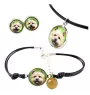 Norwich Terrier - a set of jewelry in a box, necklace, earrings, bracelet, products from the Art-Dog brand