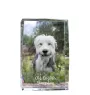 Old English Sheepdog - crystal with a picture of a dog, photo in glass, modern exhibition of Art-Dog brand photo