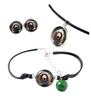 Pudel - Schmuckset in einer Schachtel, Halskette, Ohrringe, Armband, Produkte der Marke Art-Dog