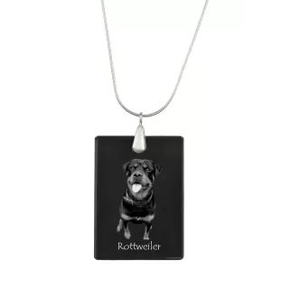 Rottweiler, Bouvier allemand - Pendentif en cristal avec chien, collier en argent avec photo, pendentif personnalisé par la marque Art-Dog