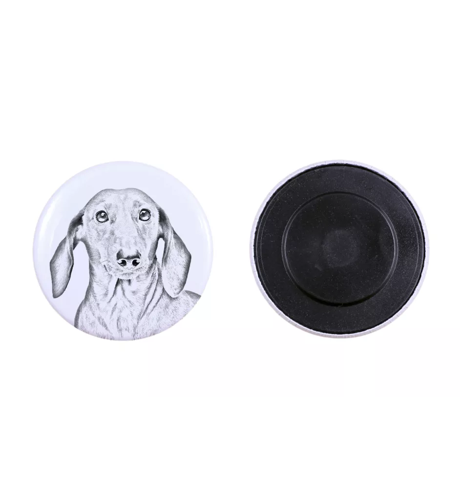 Dachshund Rauhhaar, Dackel, Teckel Magnet mit einem Hundepfotenabdruck, außergewöhnlich leicht, starker Magnet, handgefertigtes Produkt der Marke Art-Dog