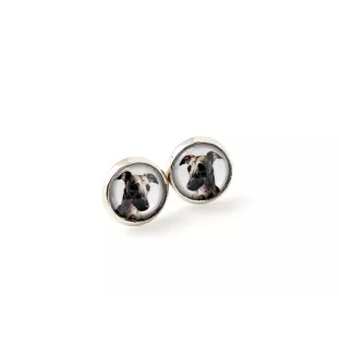 Whippet - earrings in a box, your photo, handmade jewelry, a product of the Art-Dog brand