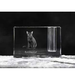 Bombay Cat - Pen stand, crystal organiser with cat photo, unique desk decoration by Art-Dog brand