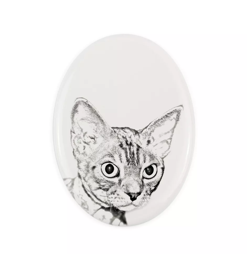 Devon Rex - commemorative plaque with a cat photo, tombstone with a print, personalized oval plaque from the Art-Dog brand