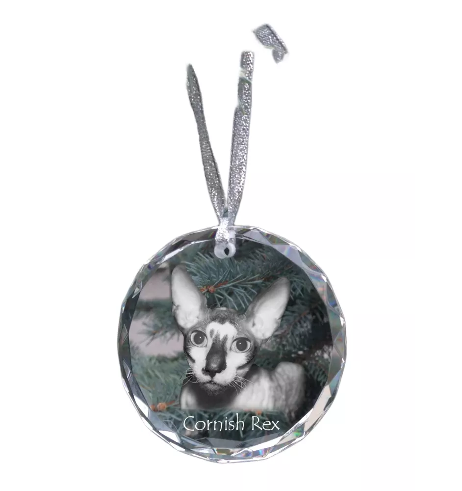 Cornish Rex medal kryształowy z kotem Art-Dog