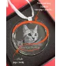 Cornish Rex medal kryształowy z kotem Art-Dog