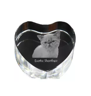 Exotic Shorthair - crystal clock with a picture of a cat, heart-shaped shelf clock, personalized standing clock by Art-Dog brand