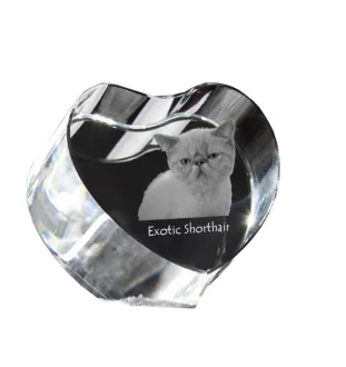 Exotic Shorthair - crystal clock with a picture of a cat, heart-shaped shelf clock, personalized standing clock by Art-Dog brand