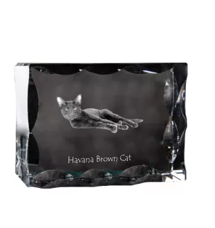 Havana brown Cat - crystal with a cat picture, glass statuette with a picture, unique frame with a picture from Art-Dog brand