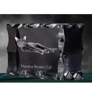 Havana brown Cat - crystal with a cat picture, glass statuette with a picture, unique frame with a picture from Art-Dog brand