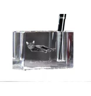 Havana brown Cat - Pen stand, crystal organiser with cat photo, unique desk decoration by Art-Dog brand