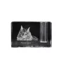 Maine Coon - Pen stand, crystal organiser with cat photo, unique desk decoration by Art-Dog brand