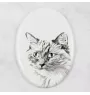 Ragdoll - commemorative plaque with a cat photo, tombstone with a print, personalized oval plaque from the Art-Dog brand