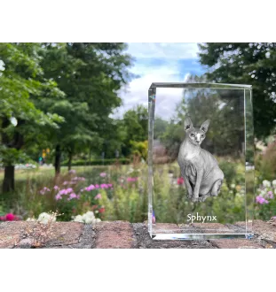 Sphynx - crystal with a picture of a cat, photo in glass, modern exhibition of Art-Dog brand photo