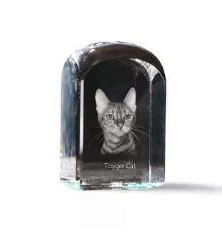 Toyger Cat - crystal cube with a photo, photo of a cat in crystal, cubic paperweight from Art-Dog brand