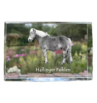 Haflinger Fohlen - crystal with a picture of a horse, photo in glass, modern exhibition of Art-Dog brand photo