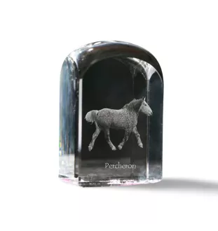 Percheron - crystal cube with a photo, photo of a horse in crystal, cubic paperweight from Art-Dog brand