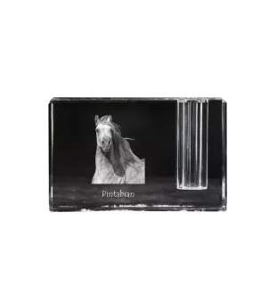 Pintabian - Pen stand, crystal organiser with picture of a horse, unique desk decoration by Art-Dog brand