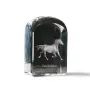 Zweibrücker - crystal cube with a photo, photo of a horse in crystal, cubic paperweight from Art-Dog brand